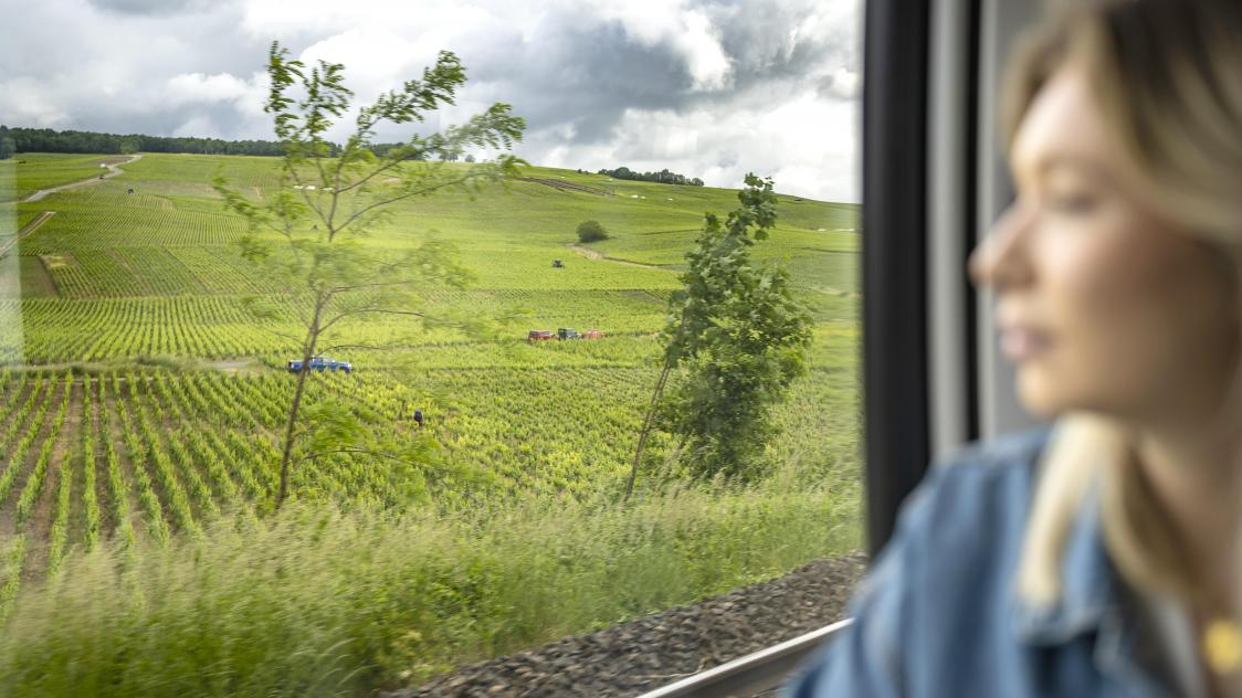 Paysage de vignobles vu depuis un train — engagement environnemental RAILMAT
